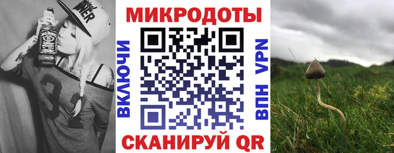Псилоцибиновые грибы GOLDEN TEACHER  сколько стоит  даркнет состав  Великий Новгород 
